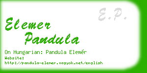 elemer pandula business card